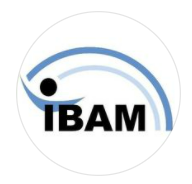 International Business Academy IBA logo