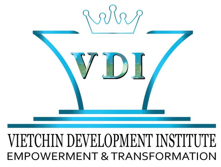 VietChin Development Institute VDI logo